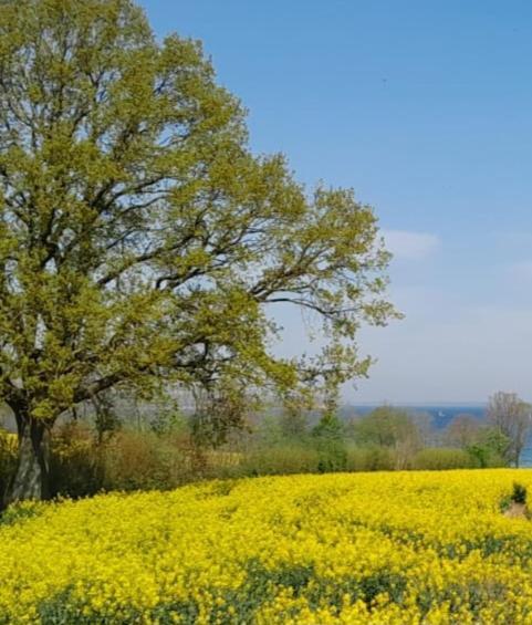 Ferienwohnung Wikingerland Langballig 外观 照片